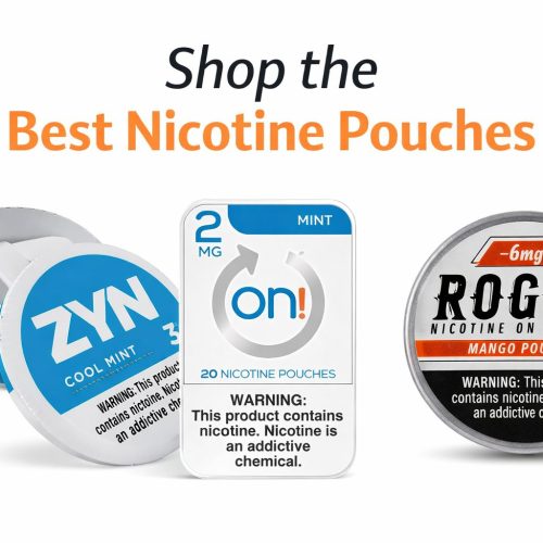 Which Nicotine Pouch Has the Best Flavours This Year?