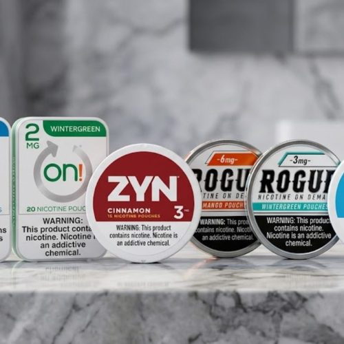 Best Nicotine Pouches In Usa: Zyn, Rogue & On! Compared
